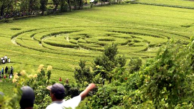 crop circle Indonesia